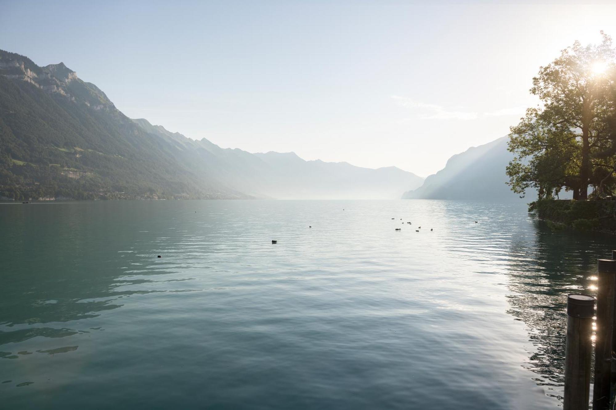 Hotel Seiler Au 4*