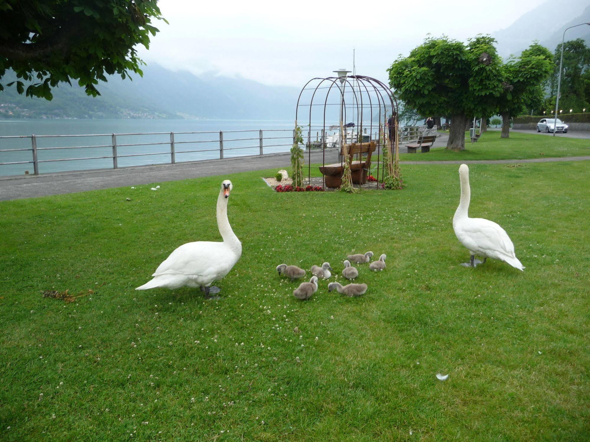 Hotel Seiler Au 4*